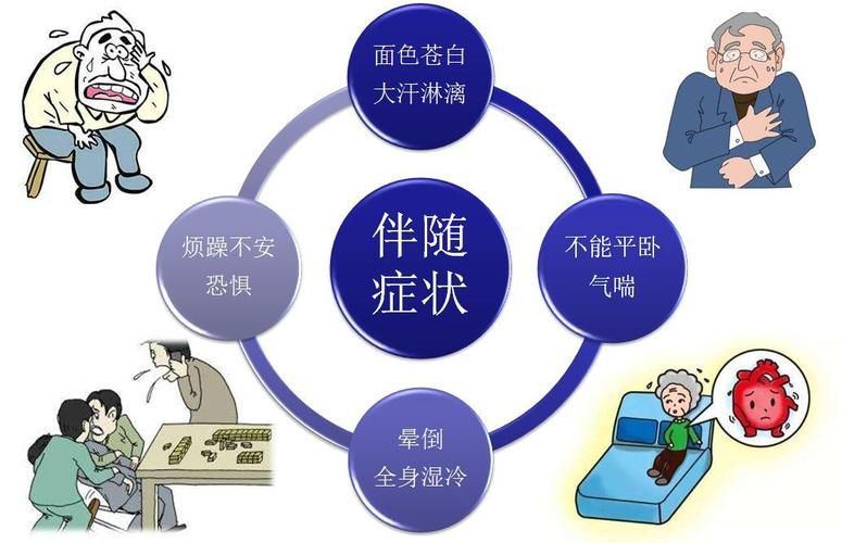 健康科普【心内科】|关“心”生命,认识心梗