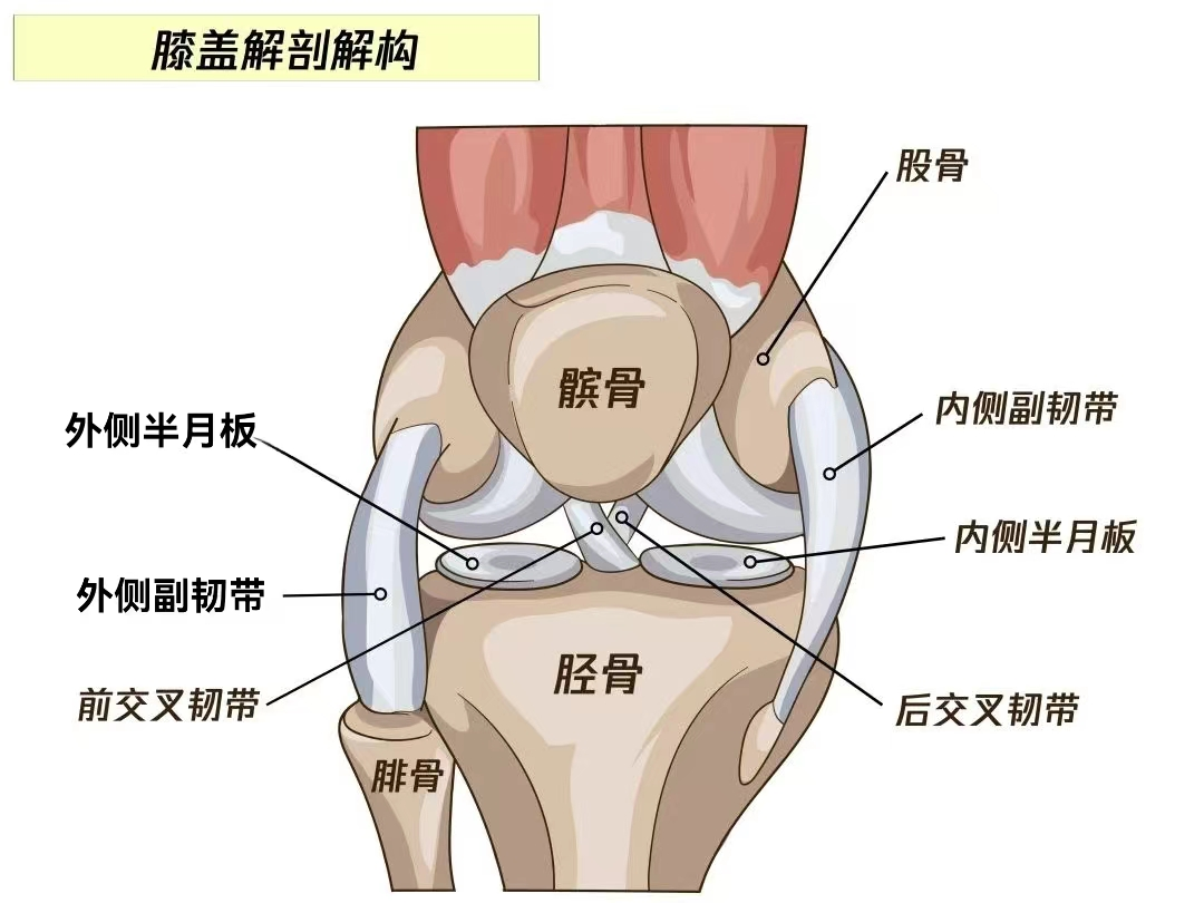 且行且珍“膝”，莫道老来空叹“膝”
