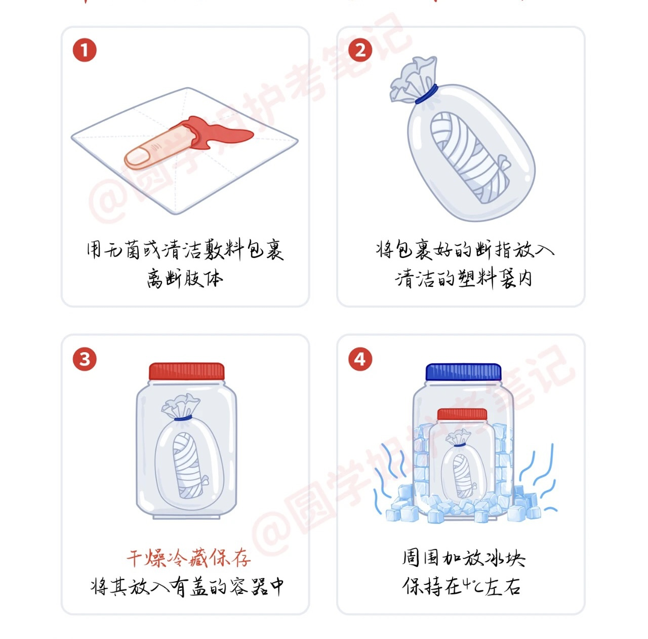 断肢（指）如何急救？