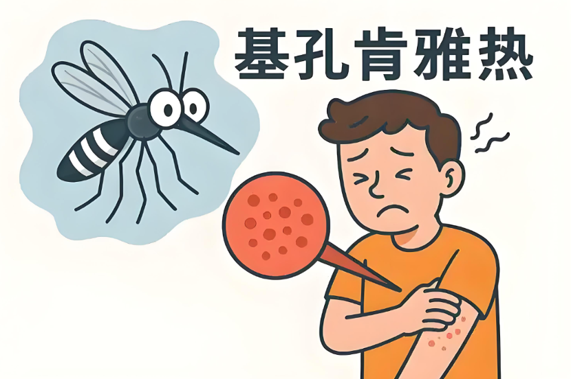 【健康宣教】“登革热”VS“基孔肯雅热”：症状对比、传播途径及预防措施
